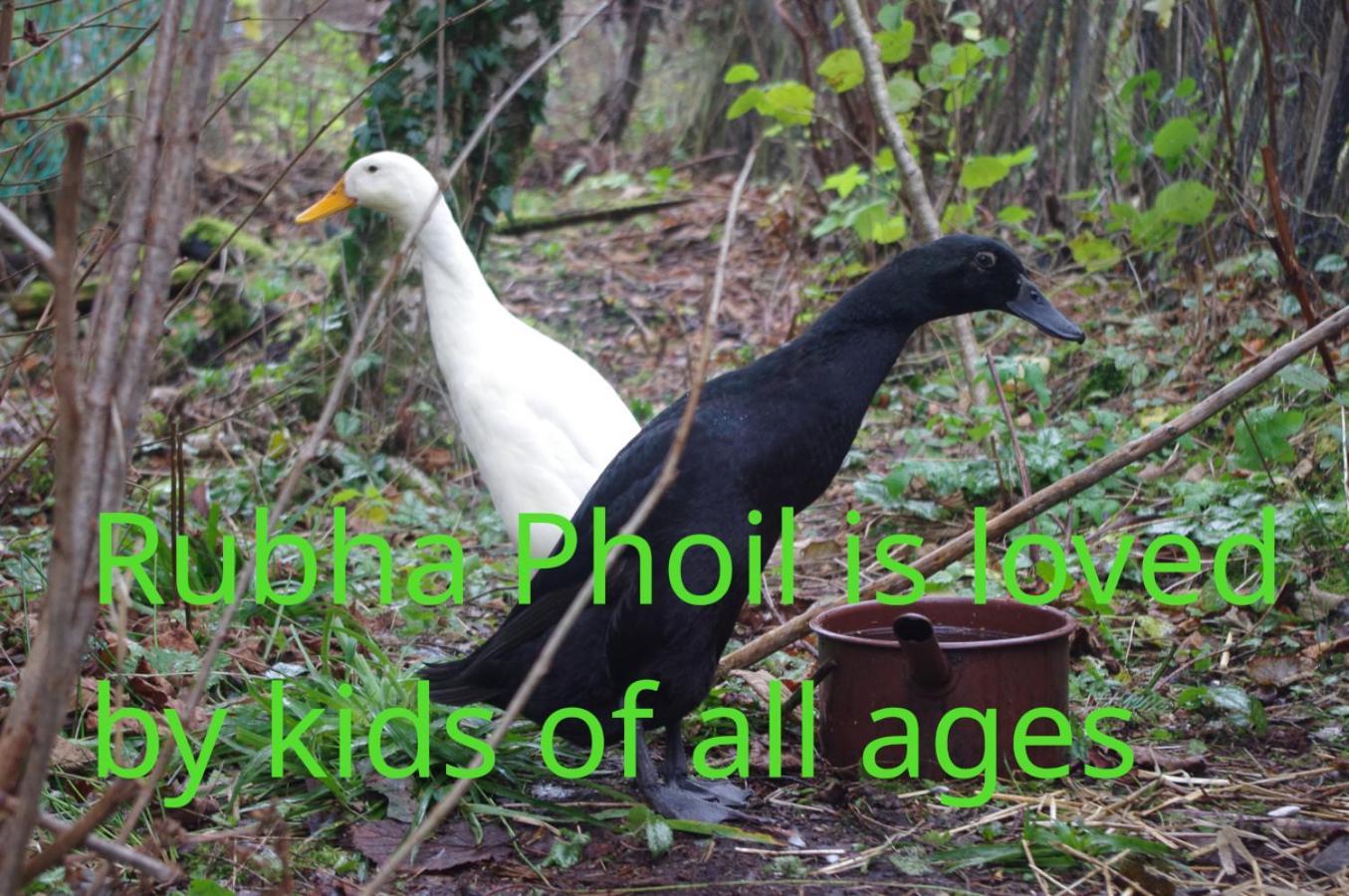 Rubha Phoil *