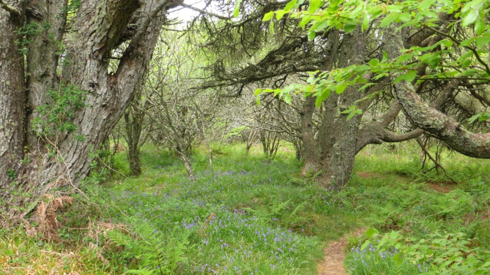 Rubha Phoil Campsite *